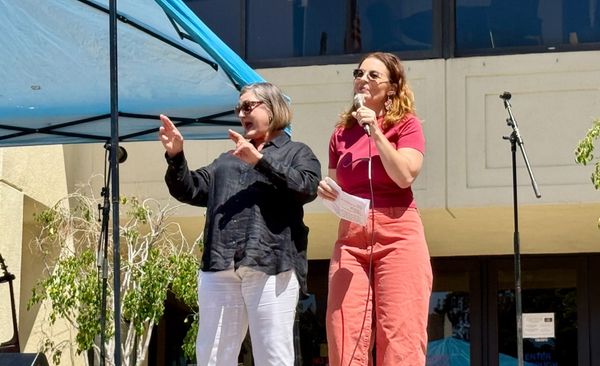 Assembly member Dawn Addis speaking with an ASL interpreter next to her. 