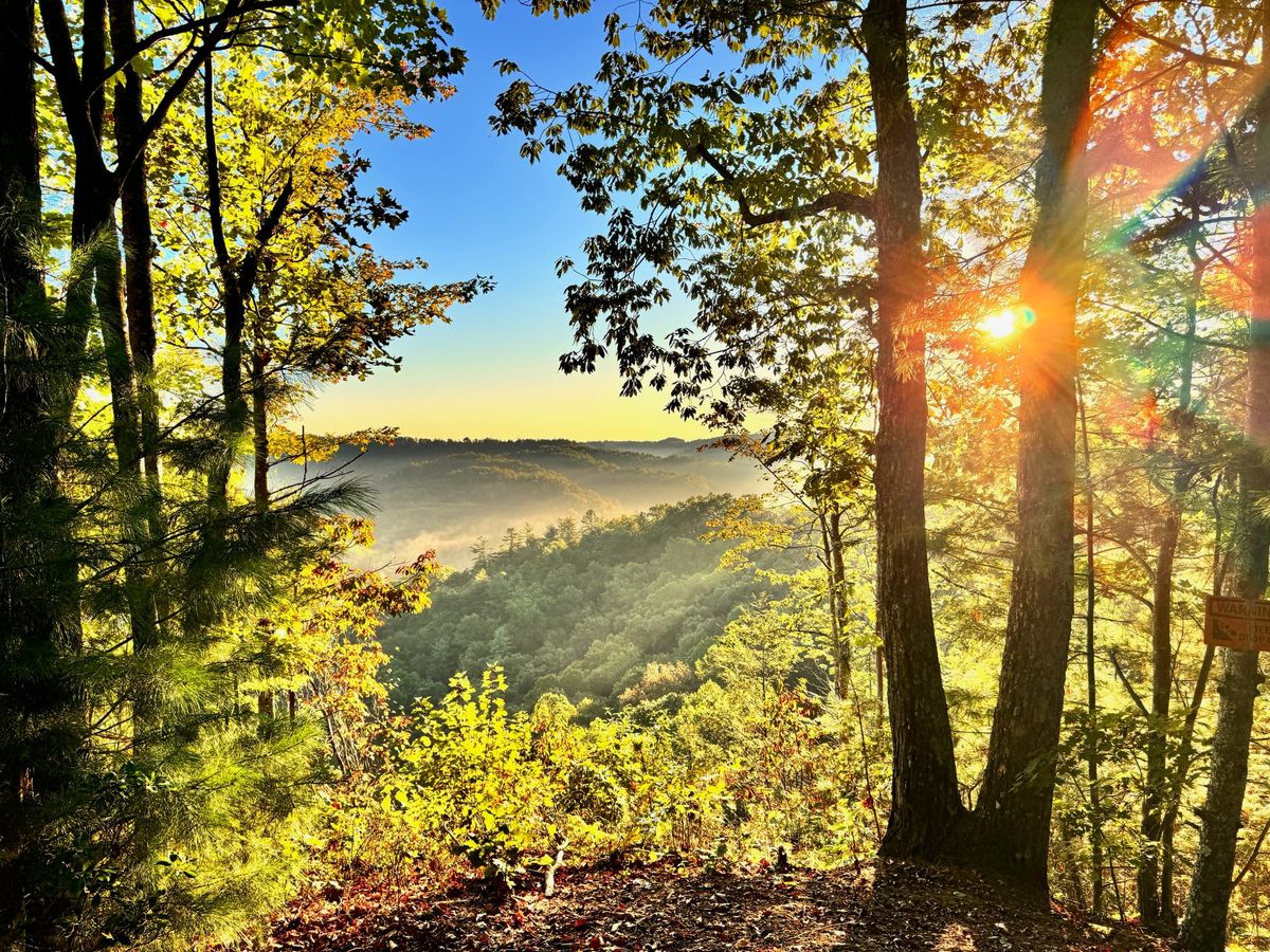 I Touched Some Grass and I Liked It