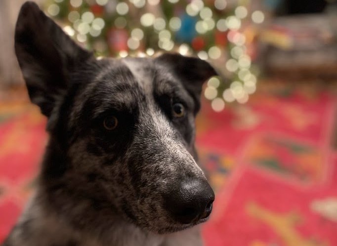 Laptop-Slamming Superlatives