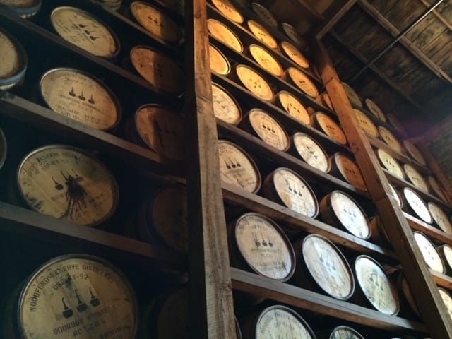 Lou's Your Own Adventure