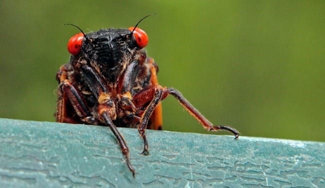 How exactly do we re-emerge?