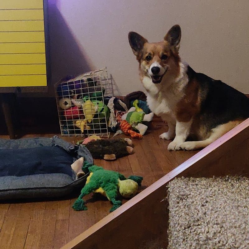 Is Going to the Super Bowl any fun?