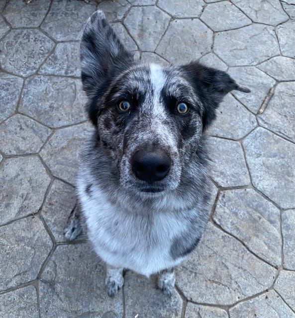 Here Are Ten Kinds of Famous I Would Be Okay With Being