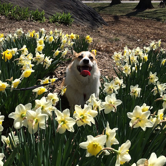 It's a Good Day In Hell