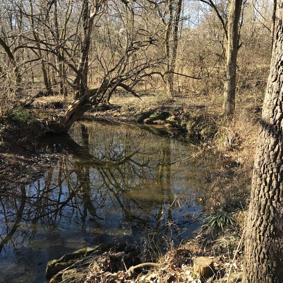 A Trip Down to the Water