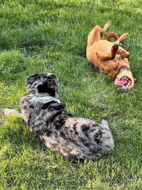 Come on Down to Proust's Pizza and Pasta