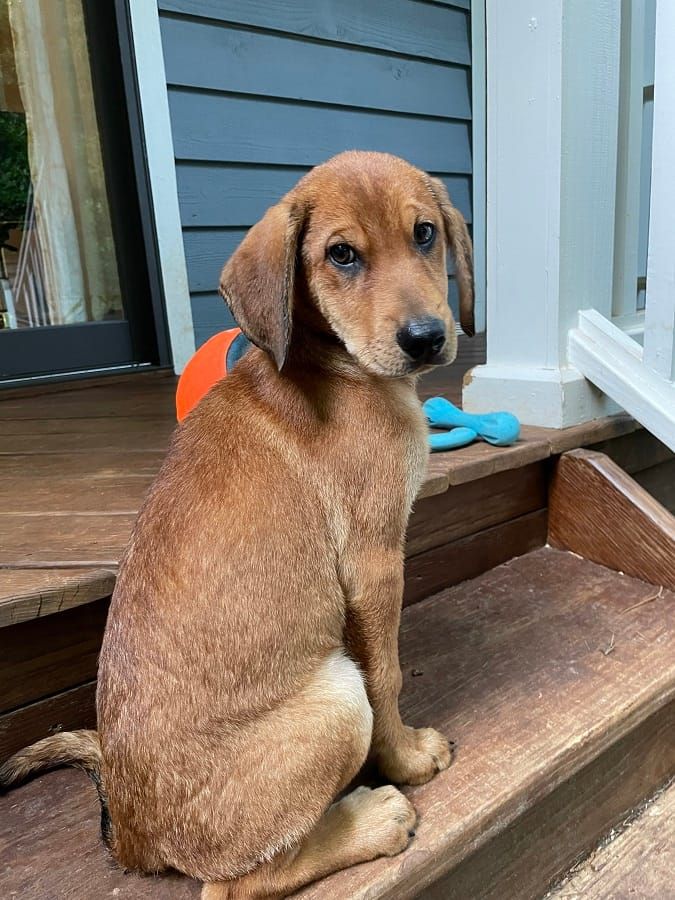 The greatest thing since sliced bread