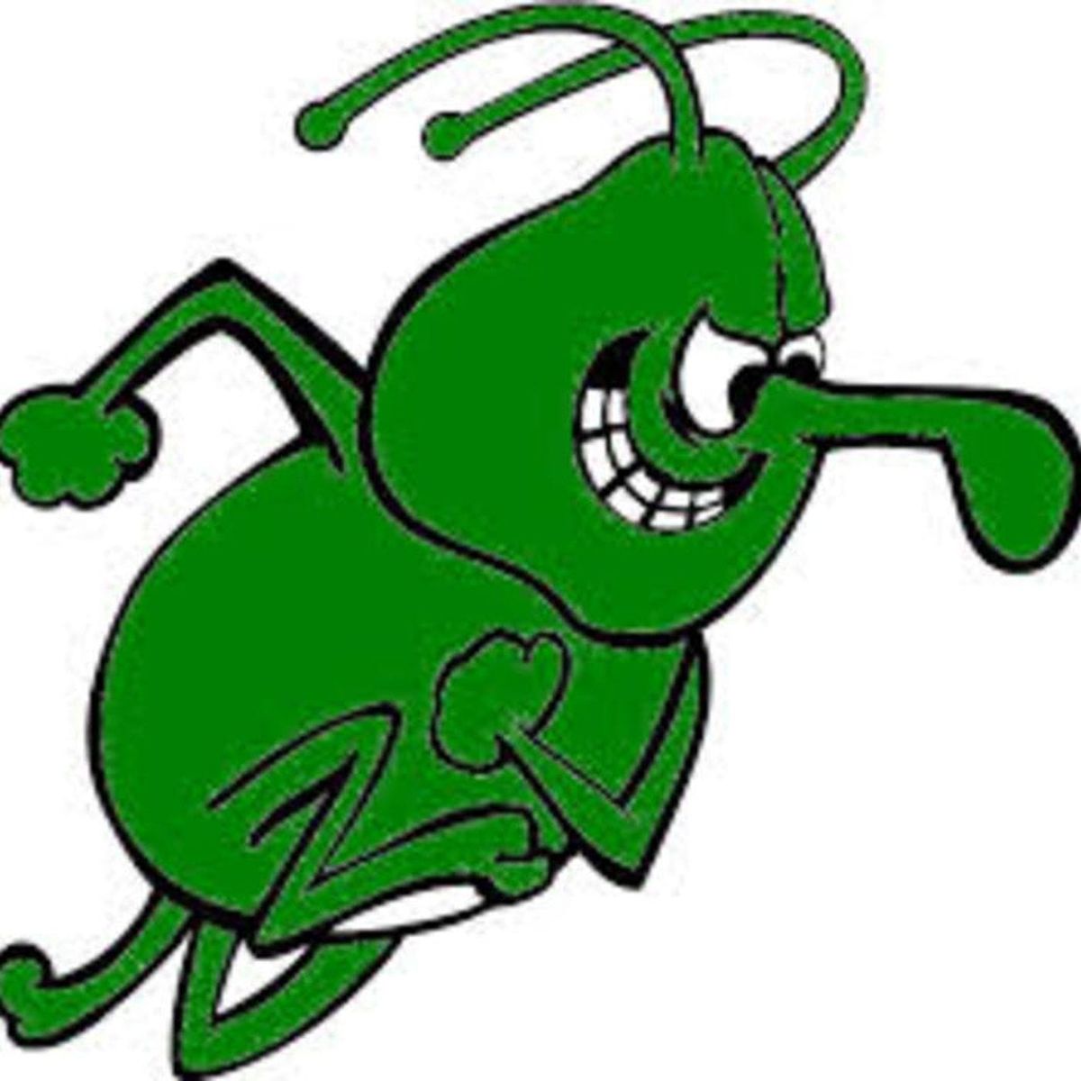 Is that a bug on your hat?