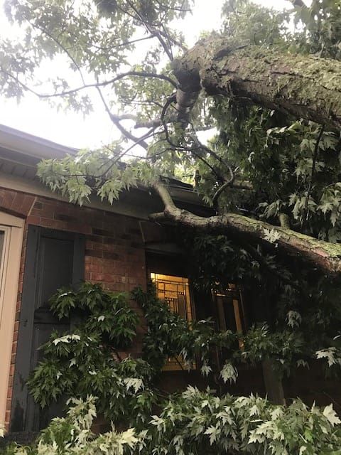 Look Who's Got Mail, Too