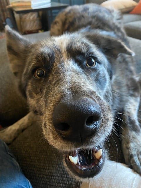 Let's make it through December