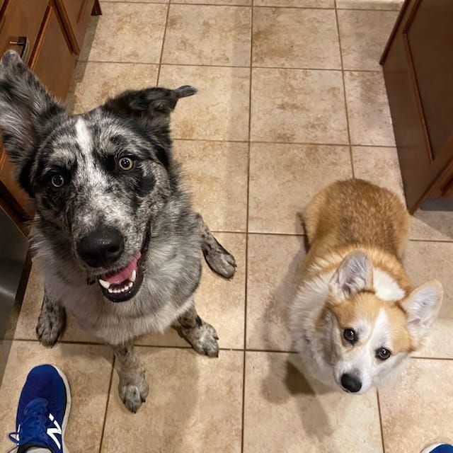 "A newsletter? What's it about?"