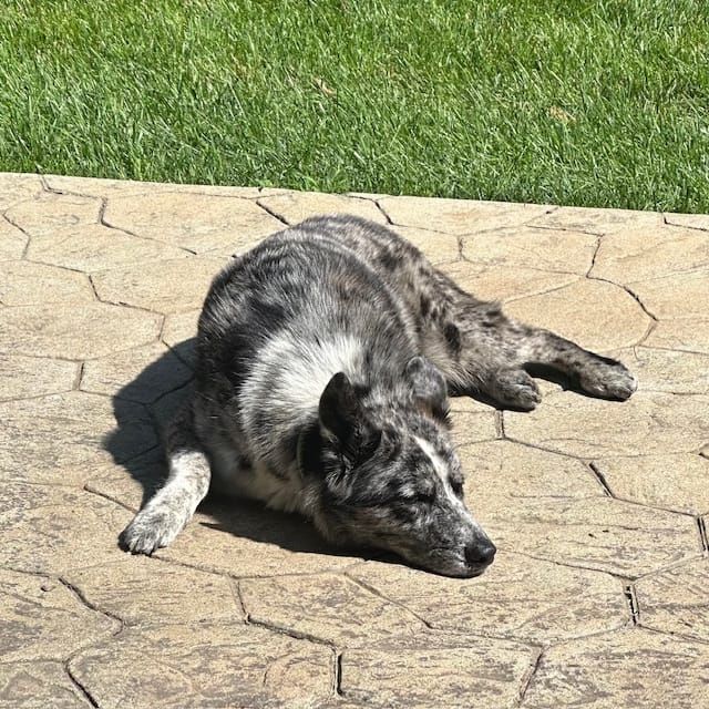 Tips and Tricks To Beat the Heat