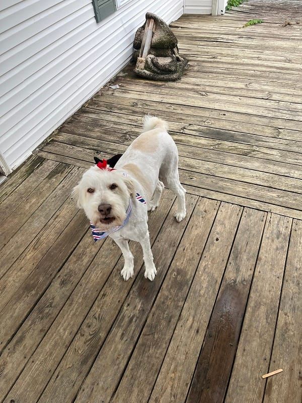 Let's all go to the market