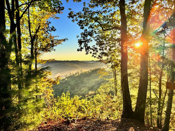 I Touched Some Grass and I Liked It