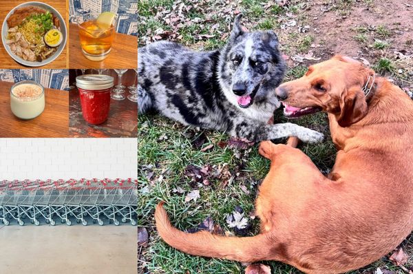 Ten Things I'm Thankful For