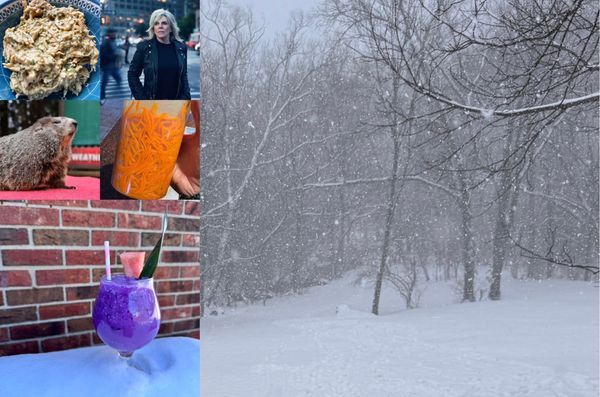 Diary of a Snow Shoveler