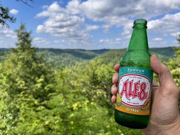 Out of Office