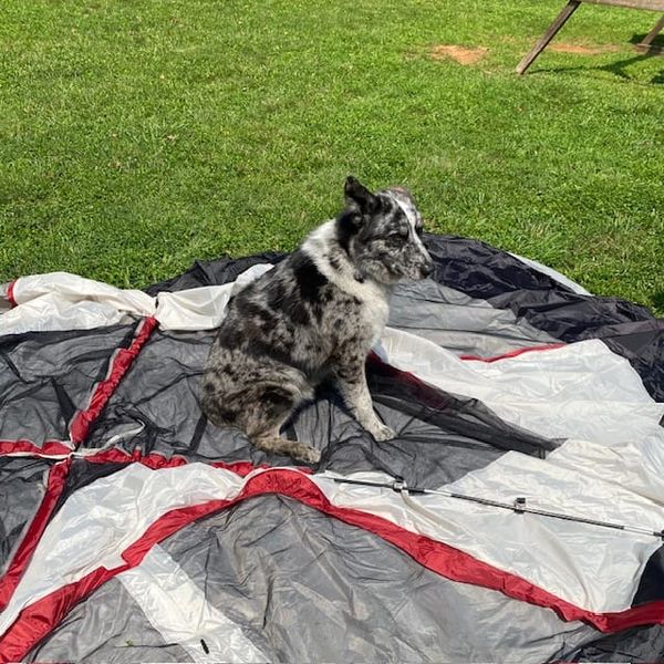 A Dispatch from the Great Outdoors