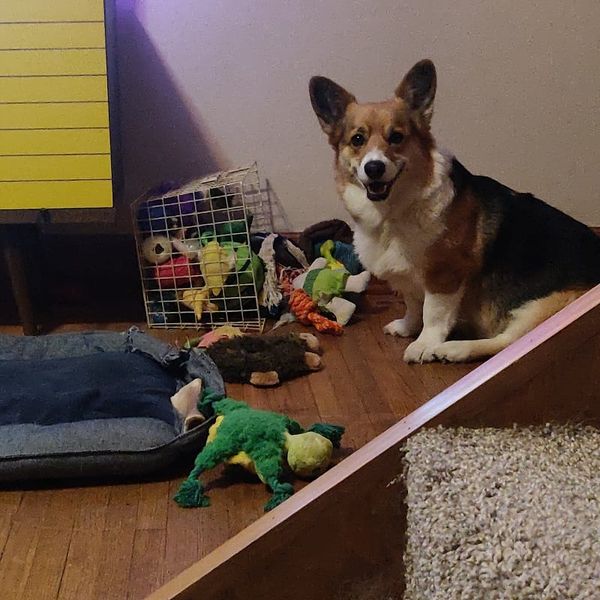 Is Going to the Super Bowl any fun?