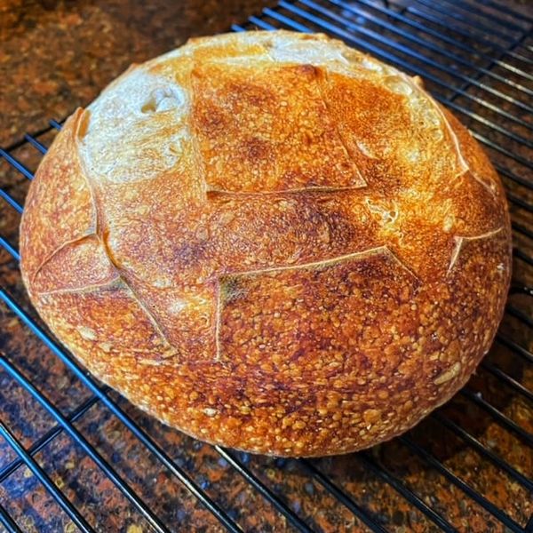 Bread Knows If You're Full of Sh*t