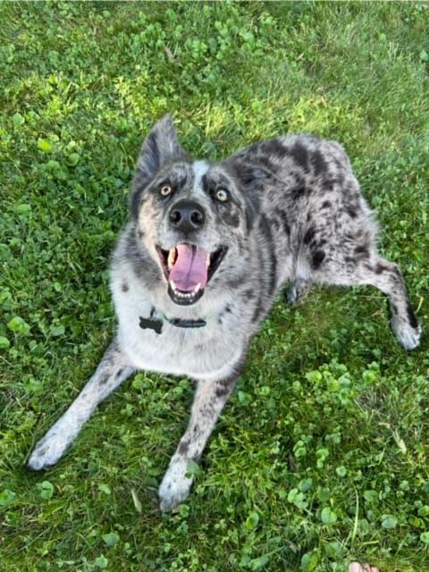 A Detailed Analysis of What I Think Will Happen in Today's Election