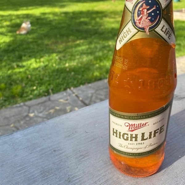 COCKTAIL: The Spaghett