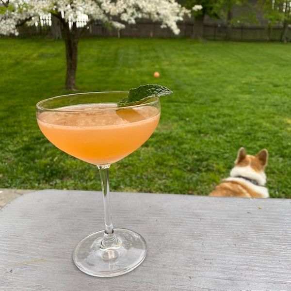 COCKTAIL: The Melon Baller