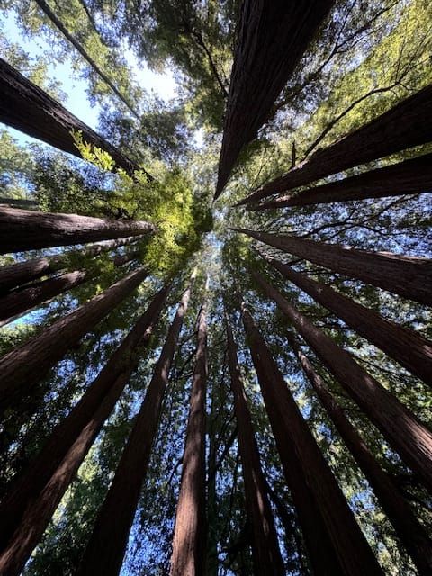 I Don't Need To Know