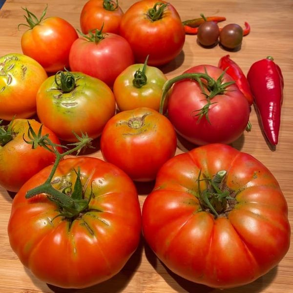 The sublime madness of tomato season