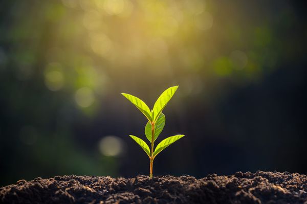 I Come to Praise the Irrational Exuberance of March