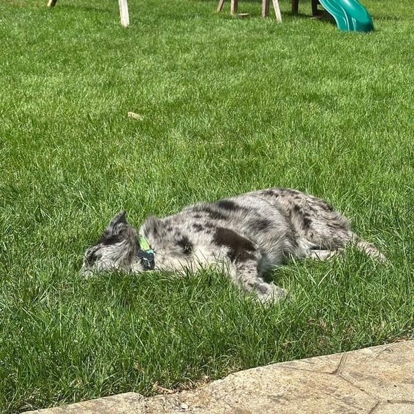 What's the *weirdest* work situation you've ever been in?