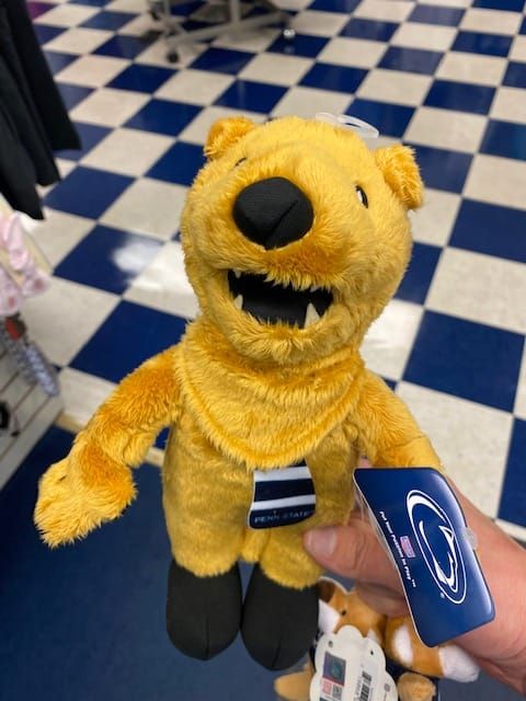 What Did You Bring Me?