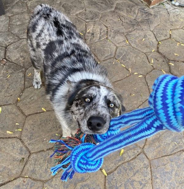 What's your perfect weekend?