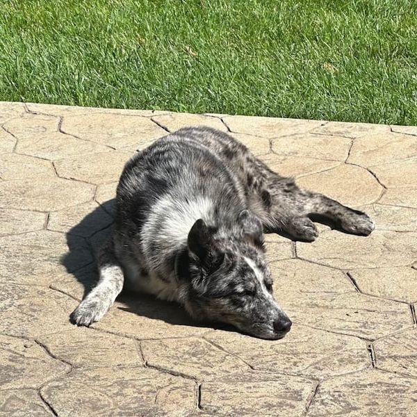 Tips and Tricks To Beat the Heat