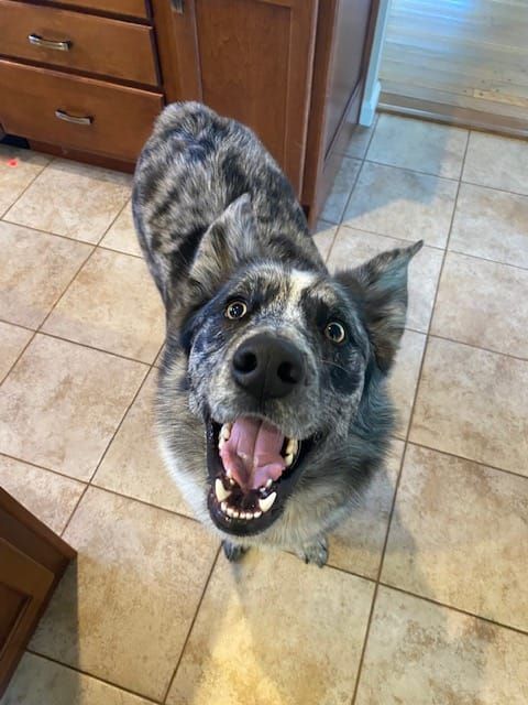 It's annual performance review time