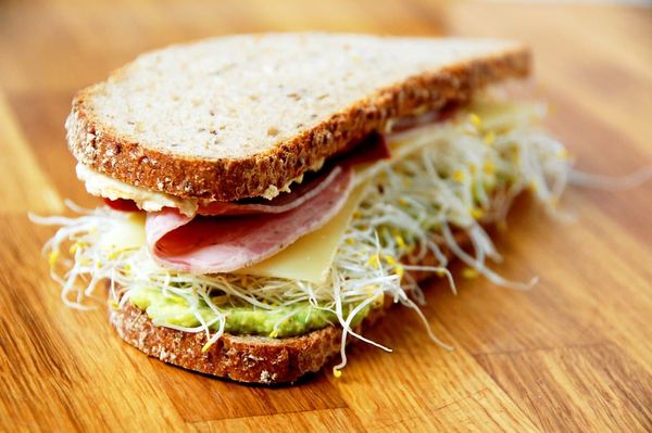 The Best Sandwich In All 50 States