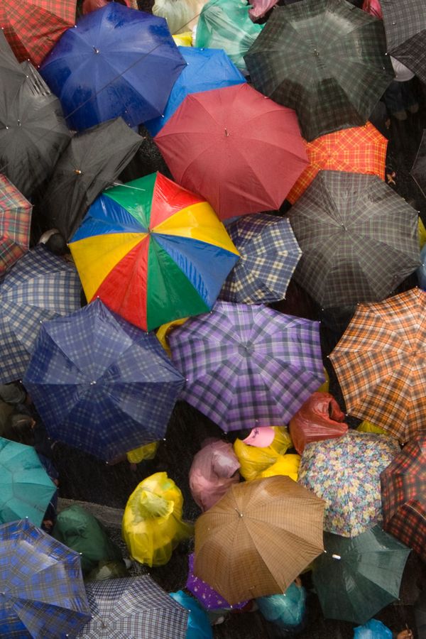 Keep Their Heads Springin'