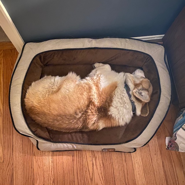 What's something you've done for yourself lately?