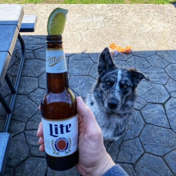 COCKTAIL: The Two-Finger Fastball