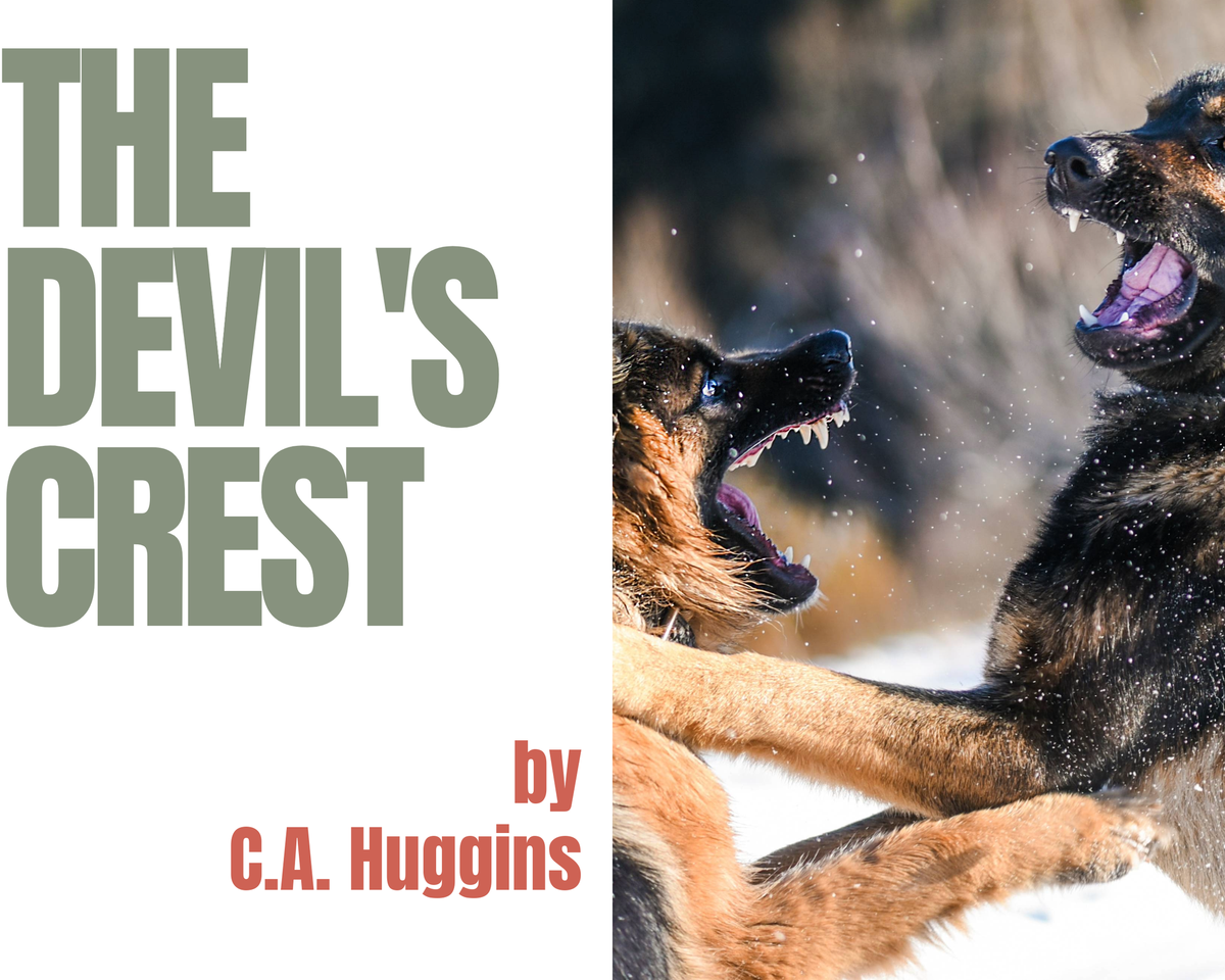 Satire Fiction - Test