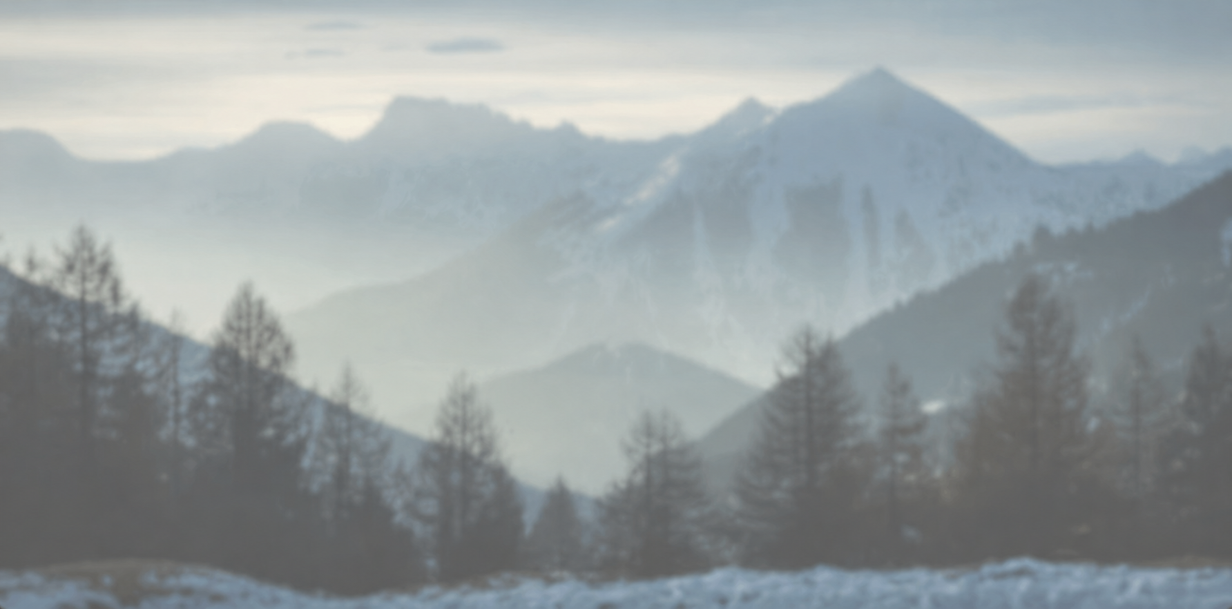 Quiet North