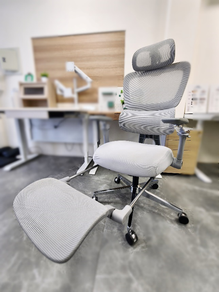 專家級雙享人體工學椅