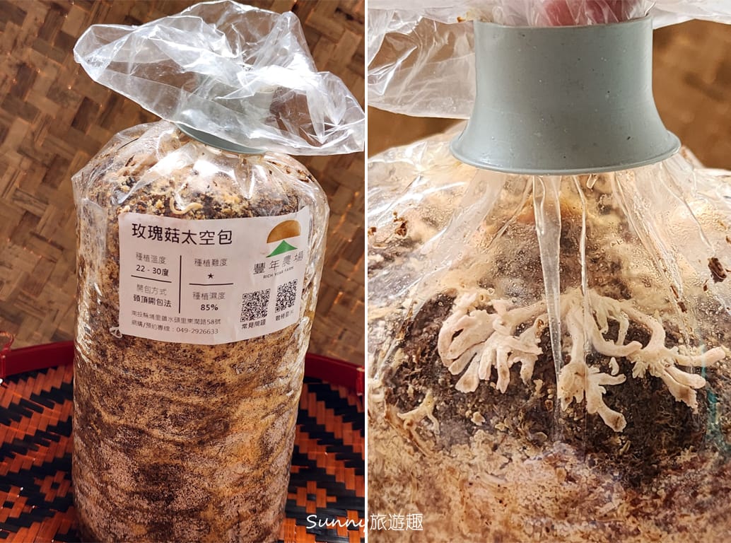 南投埔里豐年農場  太空包 玫瑰菇
