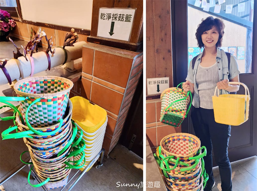 南投埔里豐年農場  採菇體驗