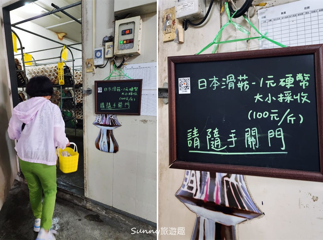 南投埔里豐年農場  採菇體驗