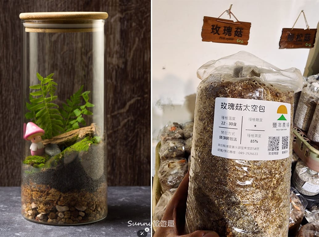 南投埔里豐年農場  太空包.生態瓶