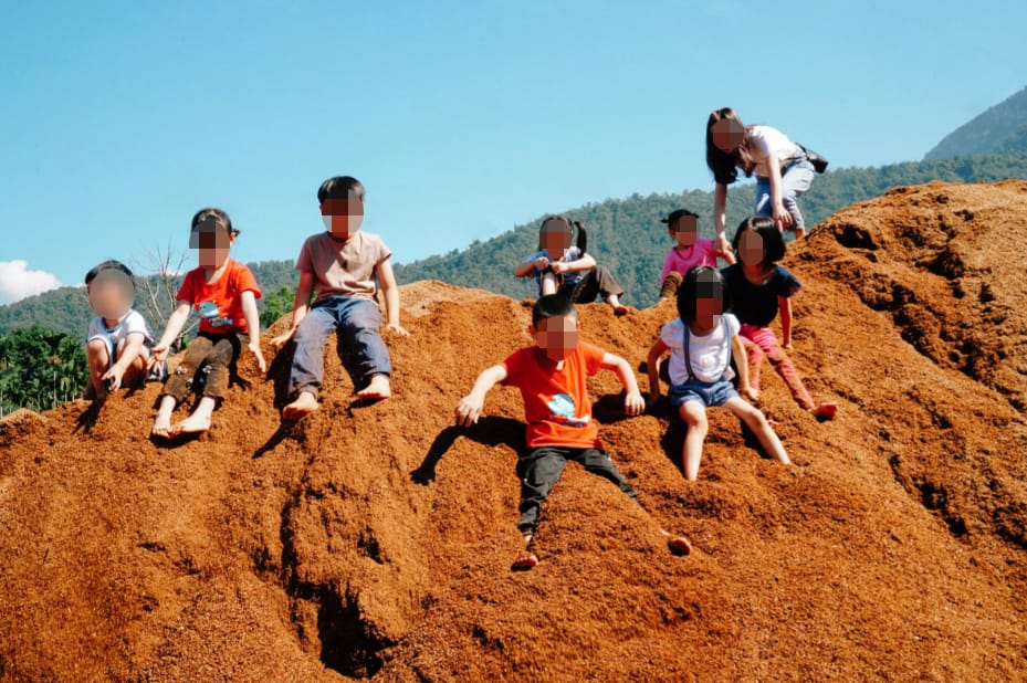 南投埔里豐年農場 木屑山＋雞母蟲體驗