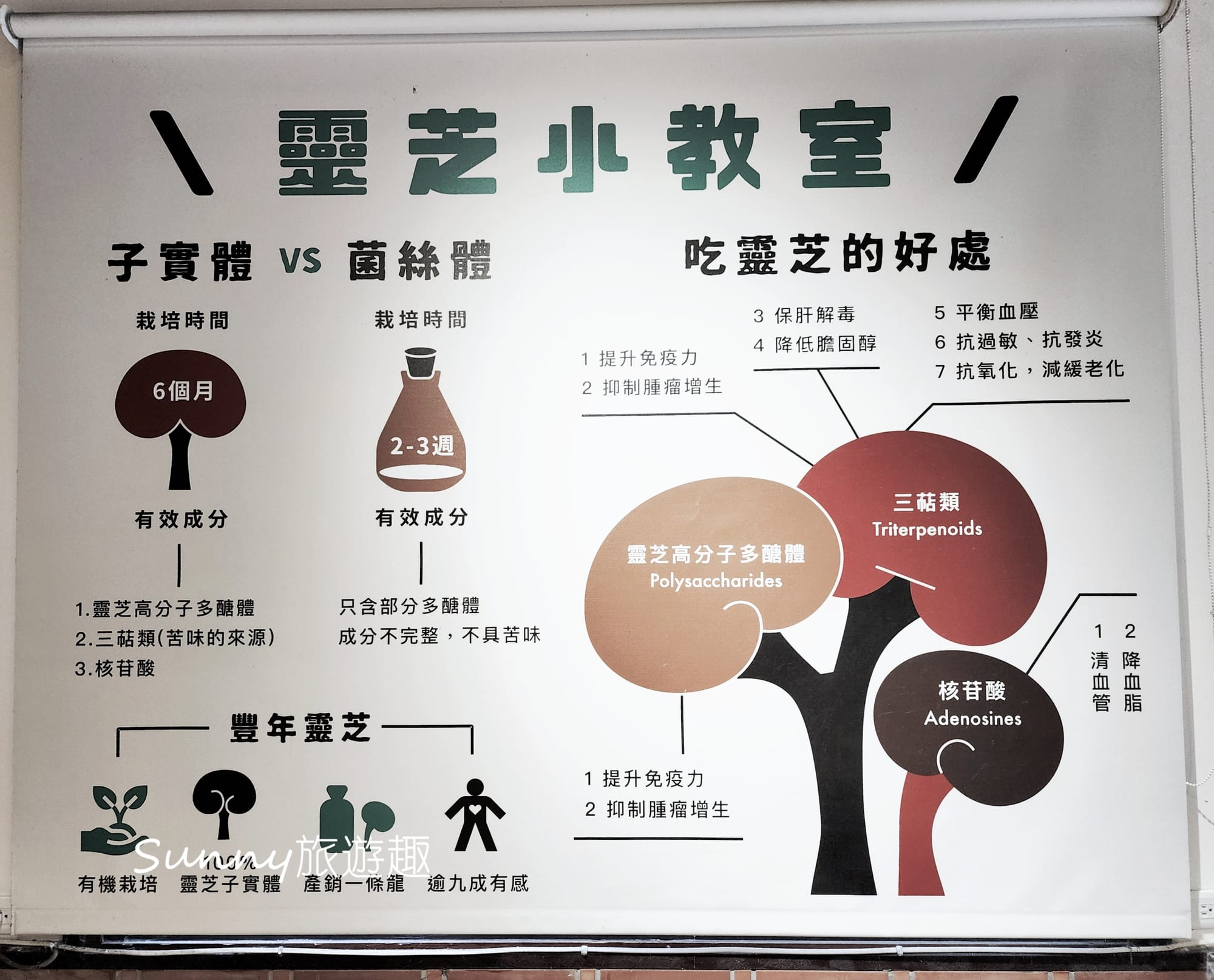 南投埔里豐年農場  鹿角靈芝茶