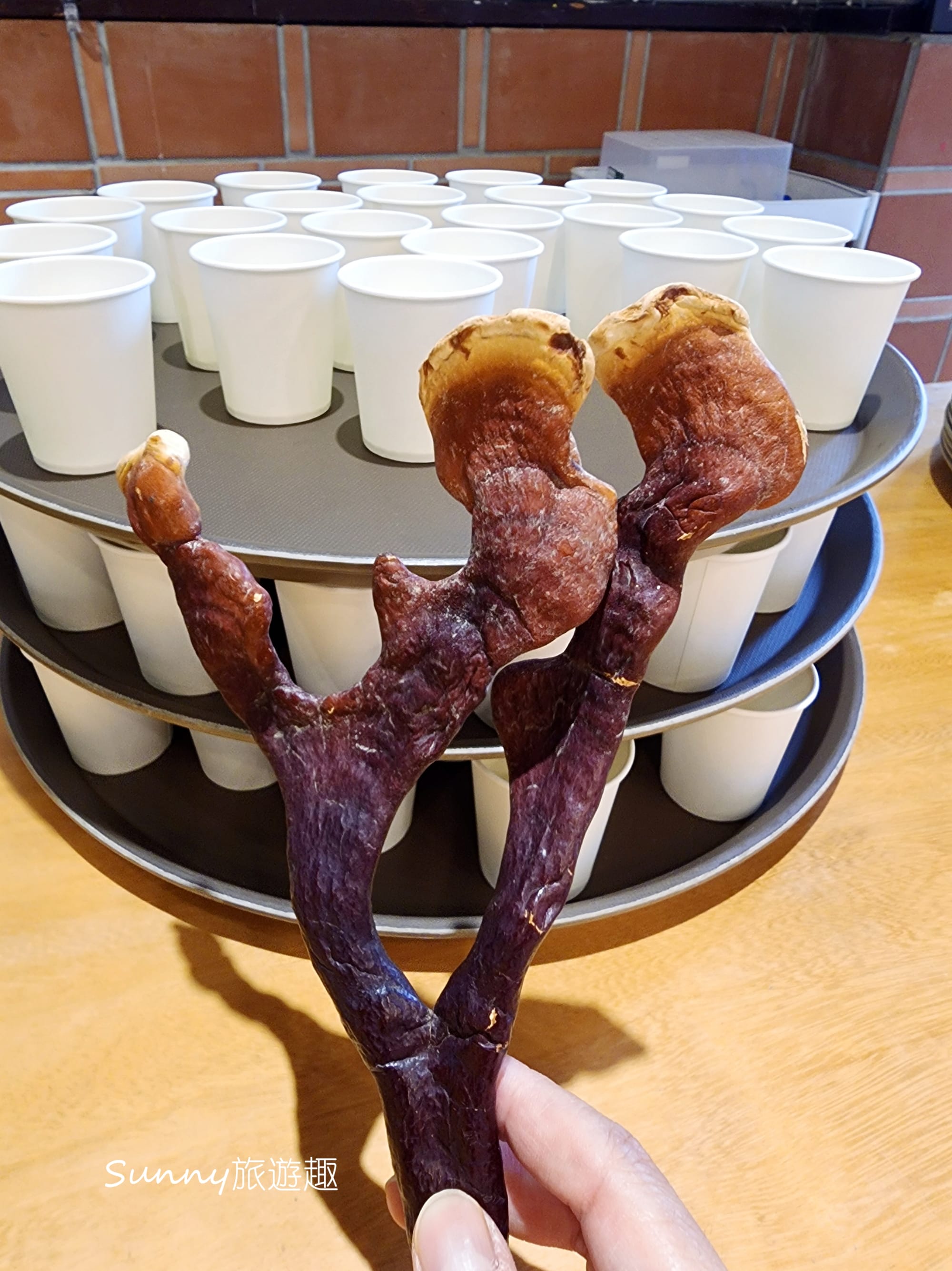 南投埔里豐年農場  鹿角靈芝茶