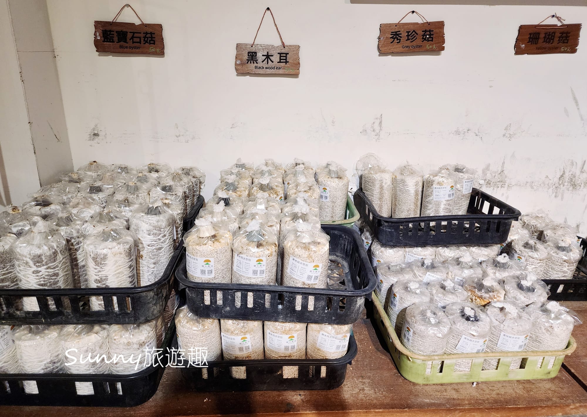 南投埔里豐年農場  太空包